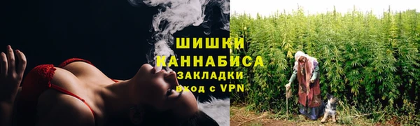 сатива Кинешма