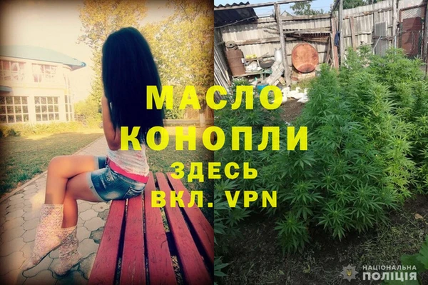 сатива Кинешма