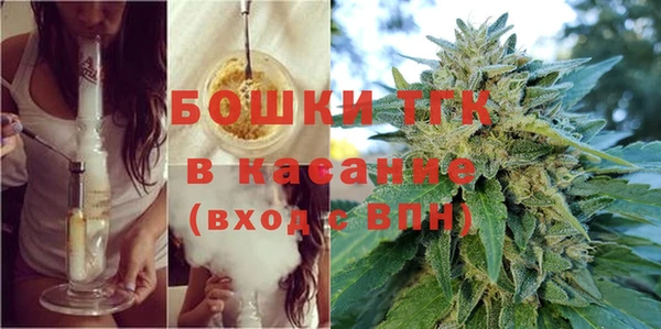 сатива Кинешма