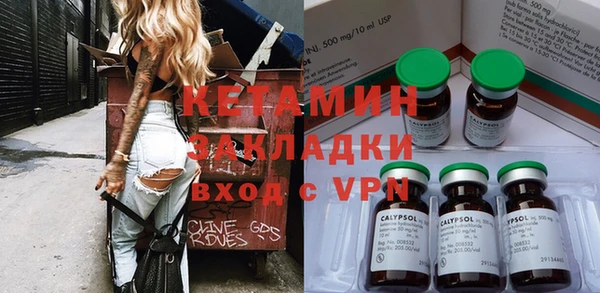 сатива Кинешма