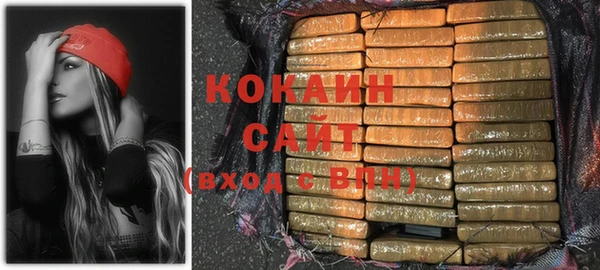 сатива Кинешма