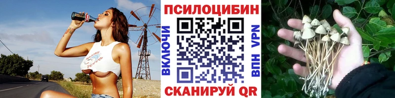 Купить где  Бузулук  Псилоцибиновые грибы MAGIC MUSHROOMS 